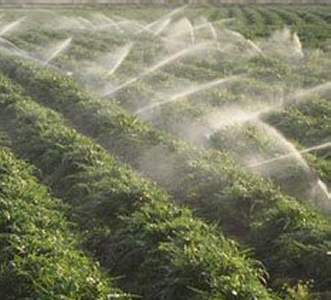 Irrigation