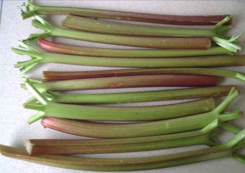 The rhubarb test load