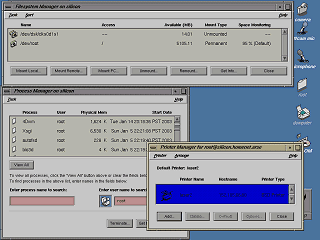 File system manager