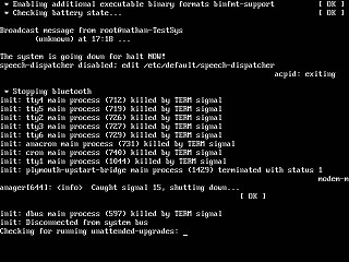 Ubuntu 11 CLI garbage